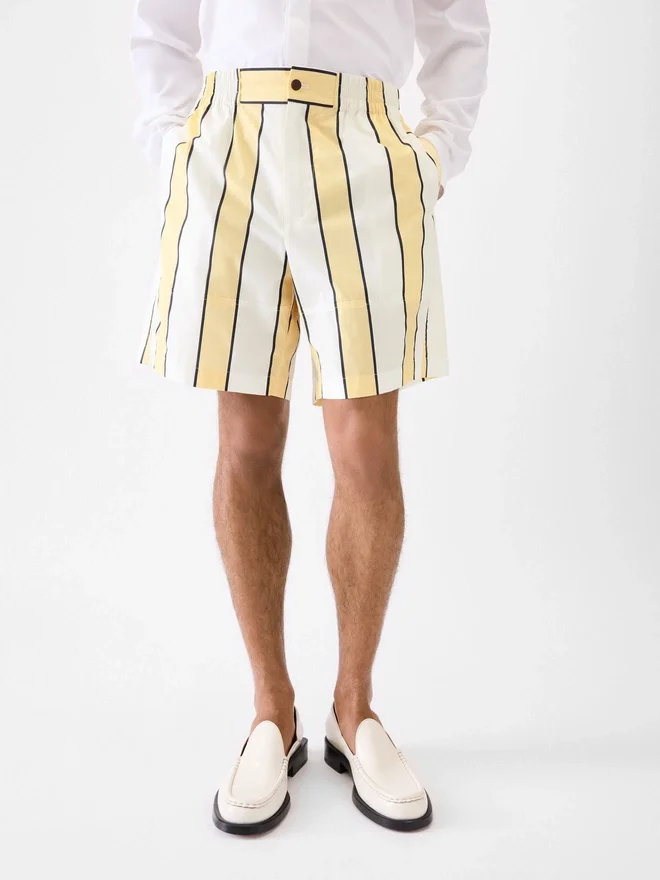 The Aloe shorts Striped shorts The Aloe shorts Striped shorts