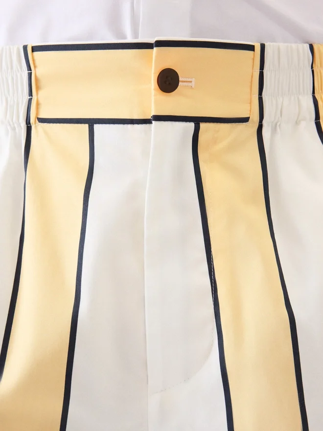 The Aloe shorts Striped shorts The Aloe shorts Striped shorts