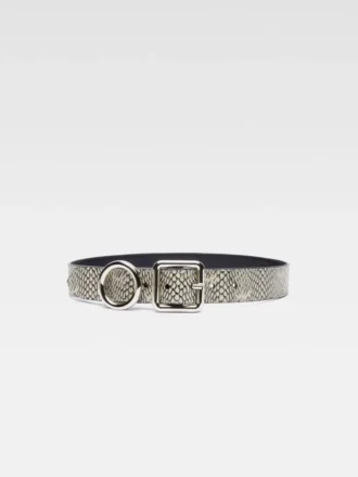 The Regalo belt Circle and square buckle belt