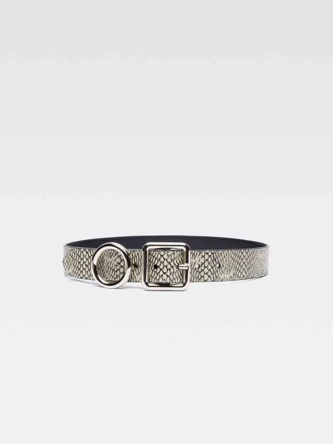 The Regalo belt Circle and square buckle belt The Regalo belt Circle and square buckle belt